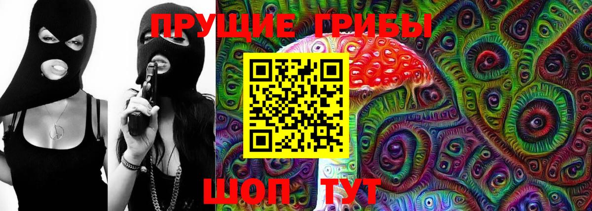 где купить   Галлюциногенные грибы Magic Shrooms  Калининград  Вход с VPN  Галлюциногенные грибы Psilocybine cubensis 